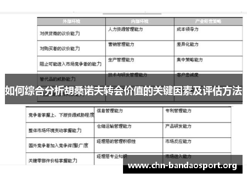 如何综合分析胡桑诺夫转会价值的关键因素及评估方法