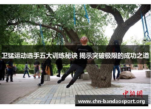 卫猛运动选手五大训练秘诀 揭示突破极限的成功之道
