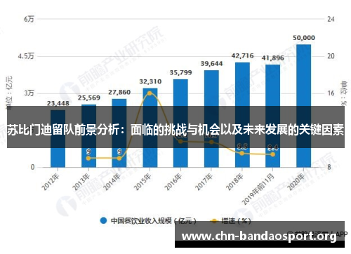 苏比门迪留队前景分析：面临的挑战与机会以及未来发展的关键因素