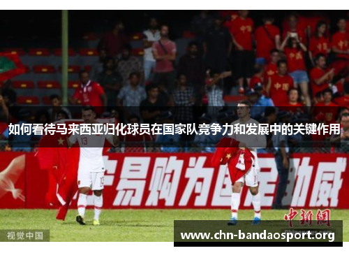 如何看待马来西亚归化球员在国家队竞争力和发展中的关键作用 如何看待马来西亚归化球员在国家队竞争力和发展中的关键作用