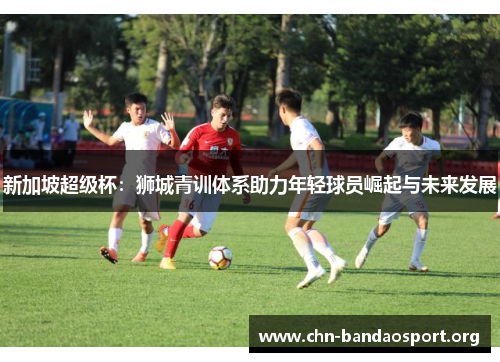 新加坡超级杯：狮城青训体系助力年轻球员崛起与未来发展